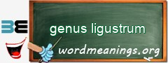 WordMeaning blackboard for genus ligustrum